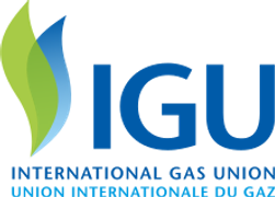 International Gas Union logo