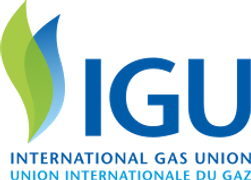 International Gas Union logo