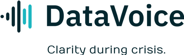 DataVoice logo