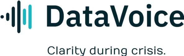 DataVoice logo