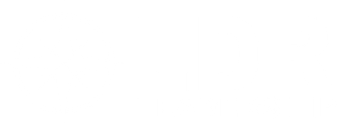 LDR Leadership logo