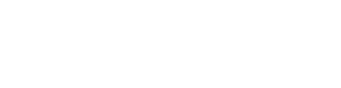 Pietro Fiorentini logo