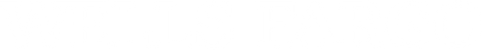 Wells Fargo Securities logo